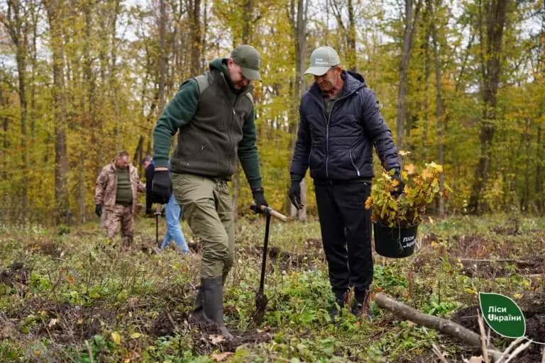 На Черкащині лісівники із ветеранами війни висадили майже 6,5 тисяч молодих саджанців